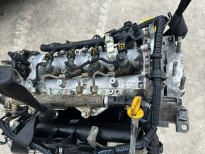 E691 panda