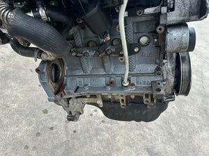 E691 panda