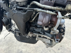 E691 panda