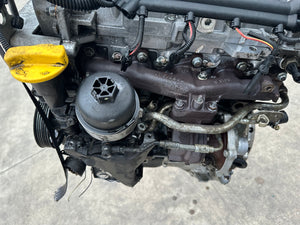 E691 panda